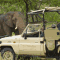 Foto: Rhino Walking Safaris 4/33